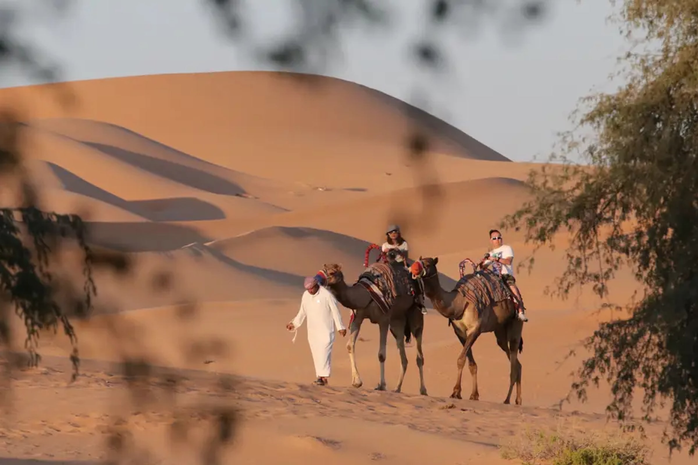 Abu Dhabi desert safari with BBQ camel ride and sandboarding
